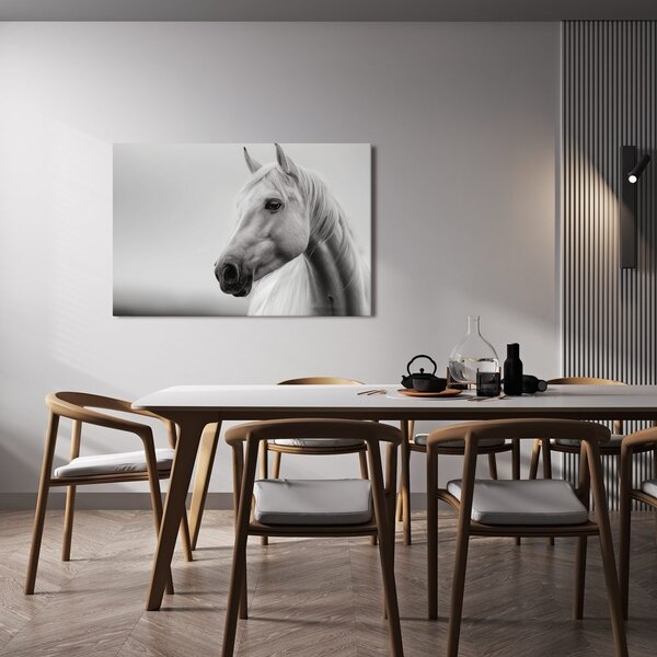 Quadro su tela – Cavallo bianco nella nebbia