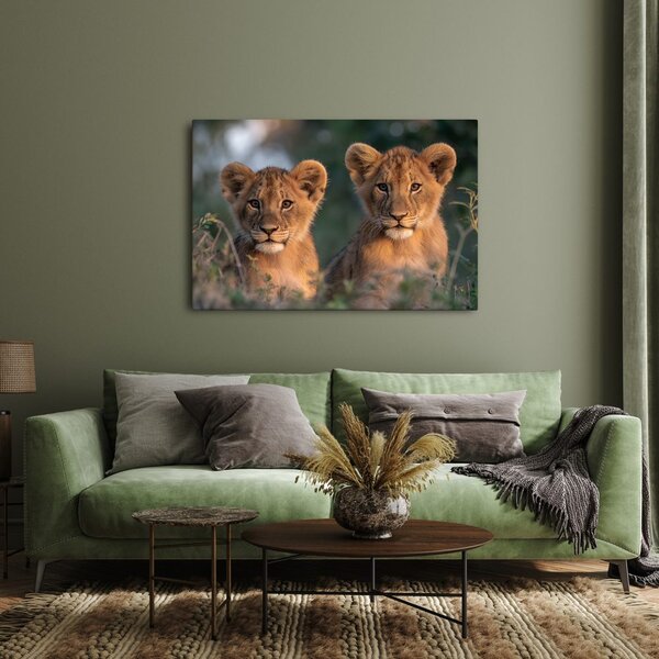 Quadro su tela – Cuccioli di leone nella savana