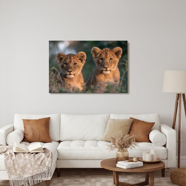 Quadro su tela – Cuccioli di leone nella savana
