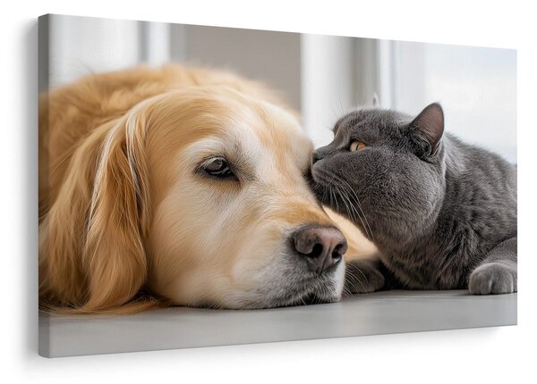 Quadro su tela – Amicizia tra cane e gatto
