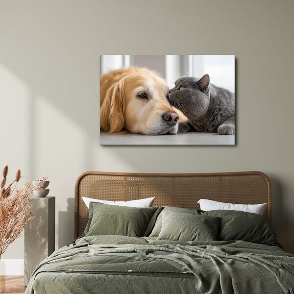 Quadro su tela – Amicizia tra cane e gatto