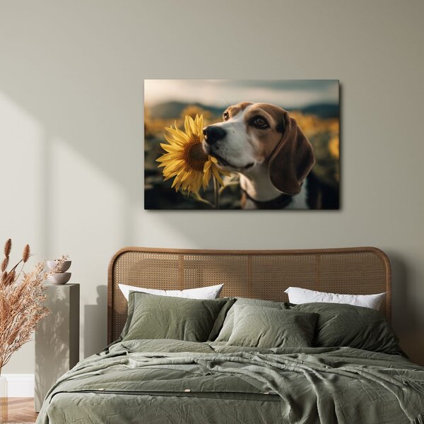 Quadro su tela – Cane e girasoli nel campo