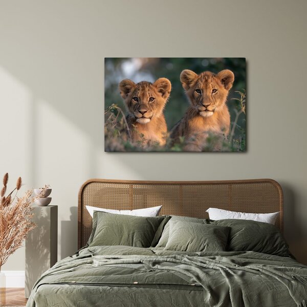 Quadro su tela – Cuccioli di leone nella savana