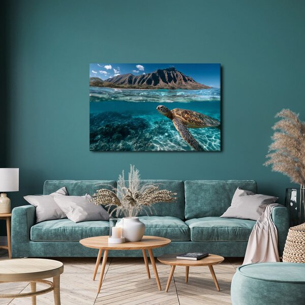 Quadro su tela – Tartaruga marina nell'oceano