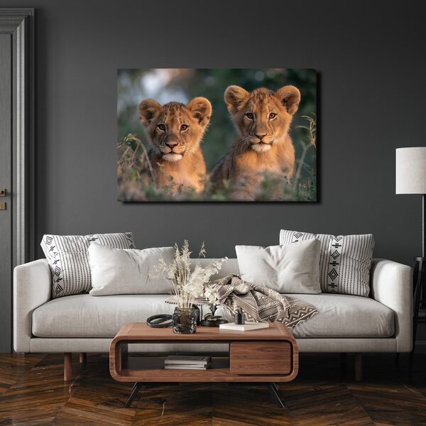 Quadro su tela – Cuccioli di leone nella savana