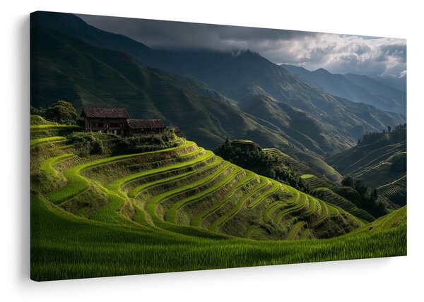 Quadro su tela – Terrazze di riso verdi