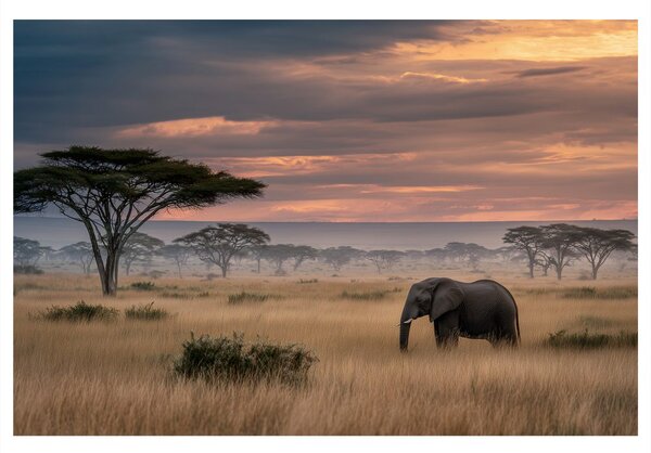 Quadro su tela – Tramonto africano con fauna selvatica
