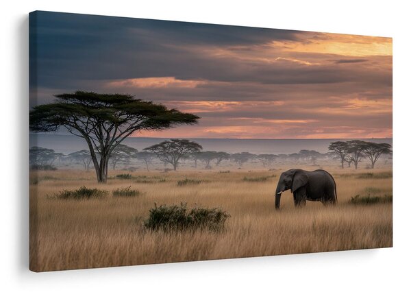 Quadro su tela – Tramonto africano con fauna selvatica