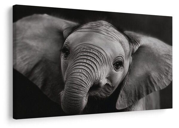 Quadro su tela – Cucciolo di elefante in dettaglio