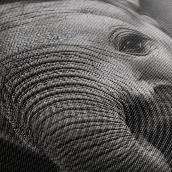 Quadro su tela – Cucciolo di elefante in dettaglio