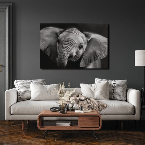 Quadro su tela – Cucciolo di elefante in dettaglio