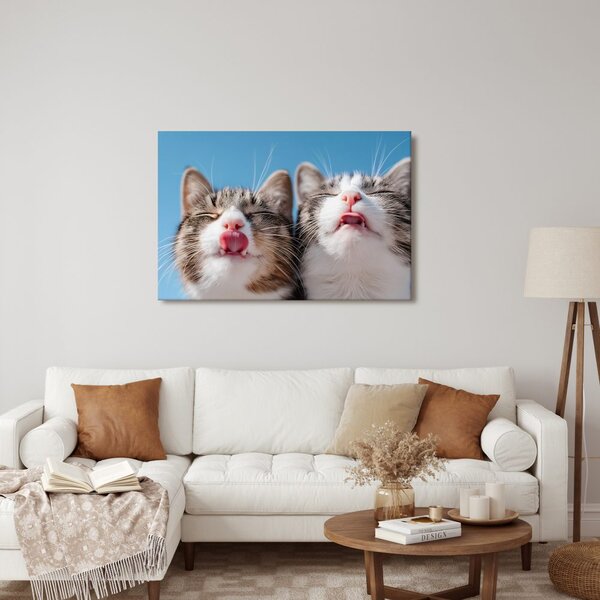 Quadro su tela – Gatti giocosi su sfondo blu
