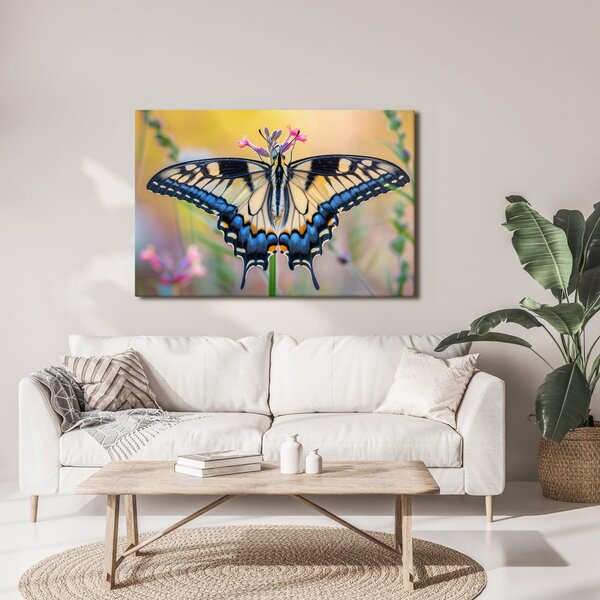 Quadro su tela – Farfalla su fiore estivo