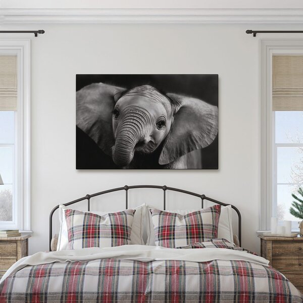Quadro su tela – Cucciolo di elefante in dettaglio