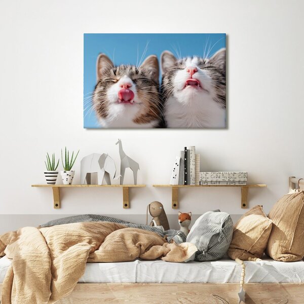Quadro su tela – Gatti giocosi su sfondo blu