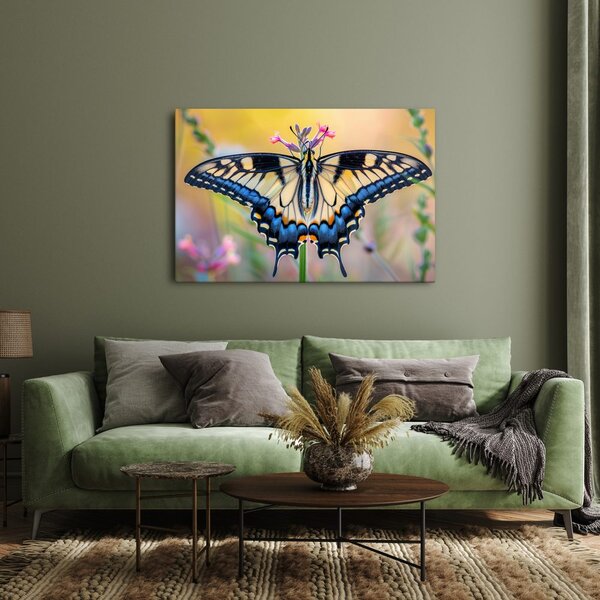 Quadro su tela – Farfalla su fiore estivo