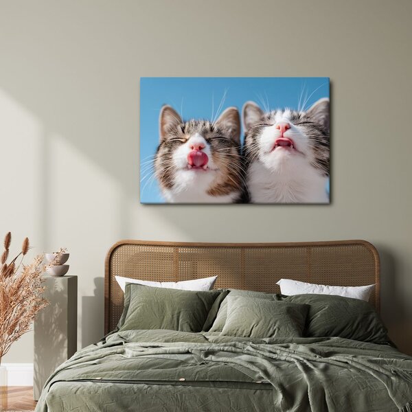 Quadro su tela – Gatti giocosi su sfondo blu