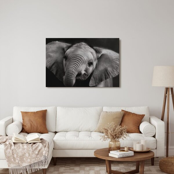 Quadro su tela – Cucciolo di elefante in dettaglio
