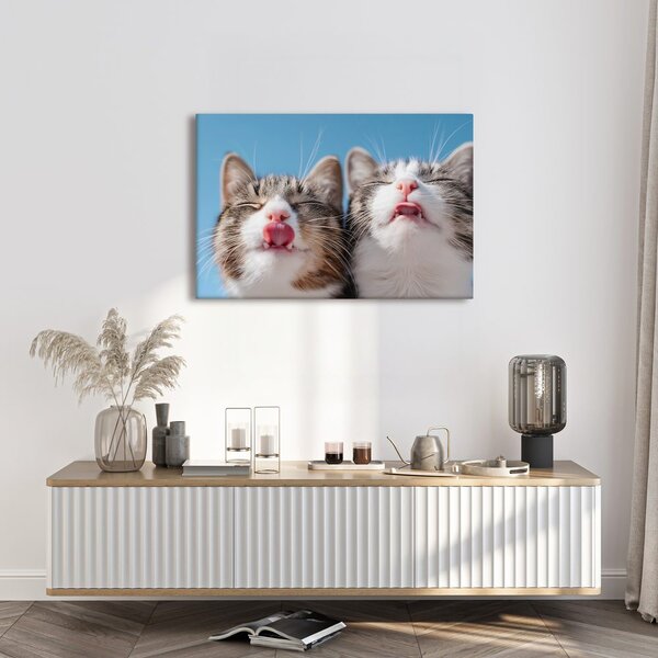 Quadro su tela – Gatti giocosi su sfondo blu