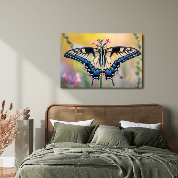 Quadro su tela – Farfalla su fiore estivo