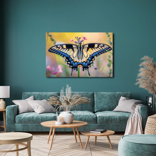 Quadro su tela – Farfalla su fiore estivo