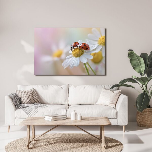 Quadro su tela – Coccinelle su un fiore