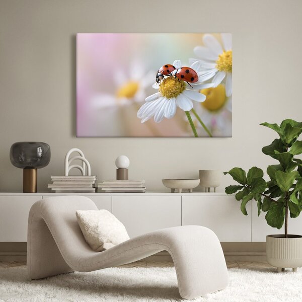 Quadro su tela – Coccinelle su un fiore