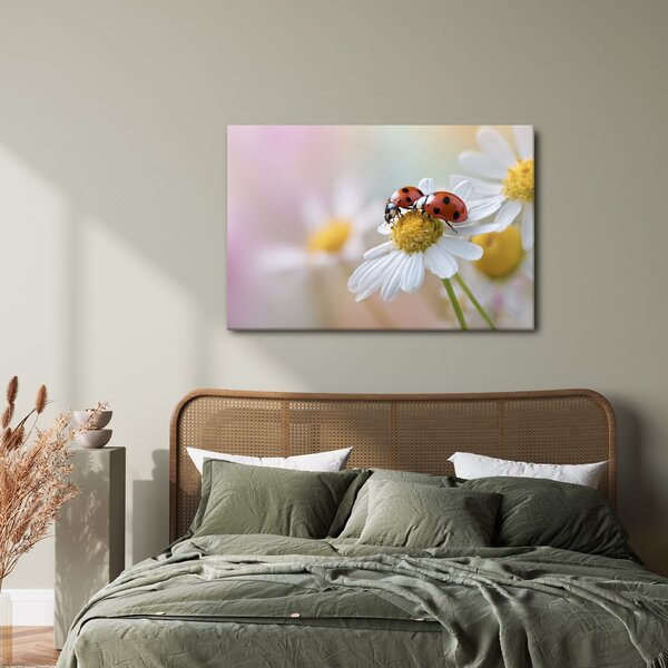 Quadro su tela – Coccinelle su un fiore