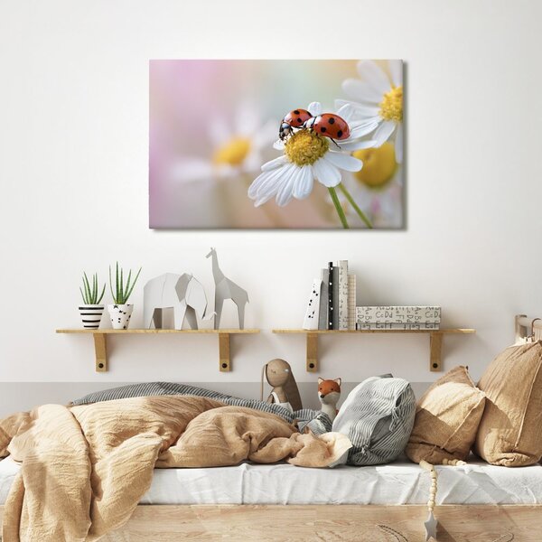 Quadro su tela – Coccinelle su un fiore