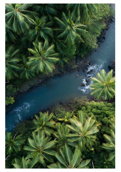 Quadro su tela – Paradiso verde con palme