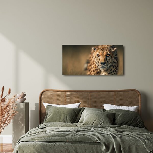 Quadro su tela – Sguardo della belva nella savana