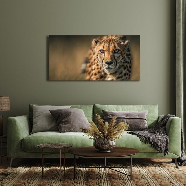 Quadro su tela – Sguardo della belva nella savana