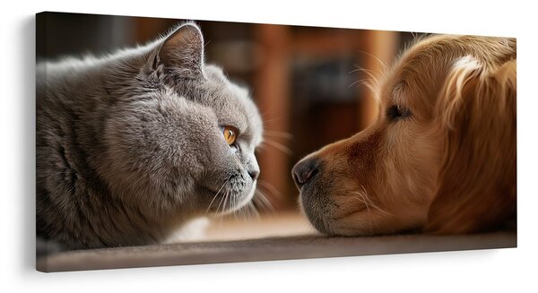 Quadro su tela – Incontro sereno tra gatto e cane