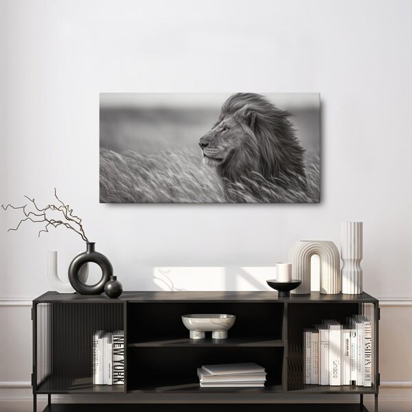 Quadro su tela – Maestoso leone nella natura