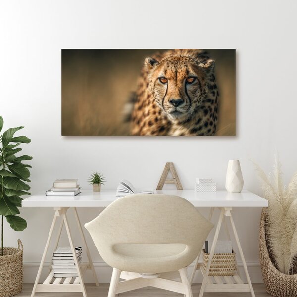 Quadro su tela – Sguardo della belva nella savana
