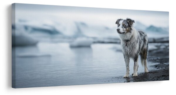 Quadro su tela – Paesaggio innevato con cane