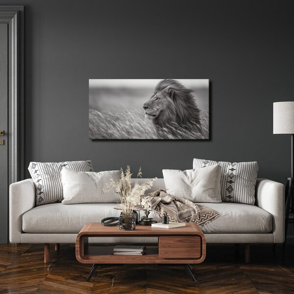 Quadro su tela – Maestoso leone nella natura