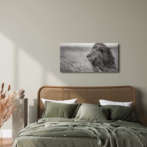 Quadro su tela – Maestoso leone nella natura