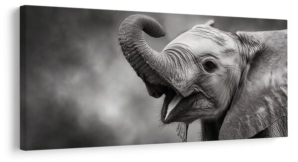 Quadro su tela – Momento gioioso dell'elefante