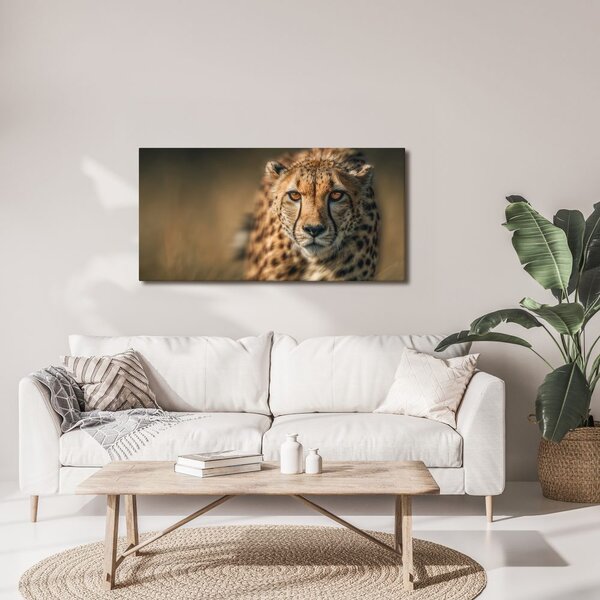 Quadro su tela – Sguardo della belva nella savana