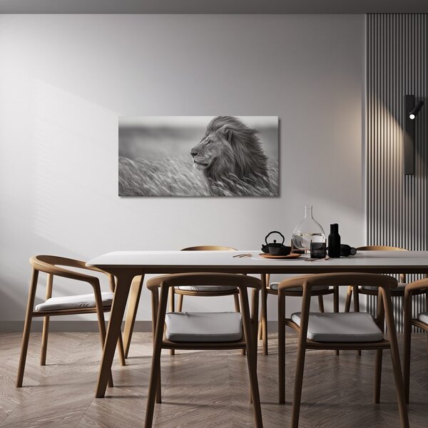 Quadro su tela – Maestoso leone nella natura