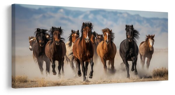 Quadro su tela – Mandria di cavalli in movimento