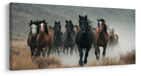 Quadro su tela – Mandria di cavalli in movimento