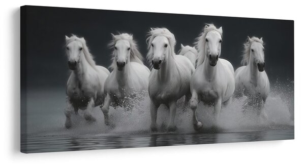 Quadro su tela – Corsa selvaggia di cavalli bianchi