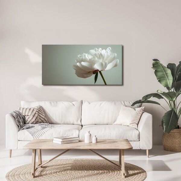Quadro su tela – Eleganza floreale su bianco