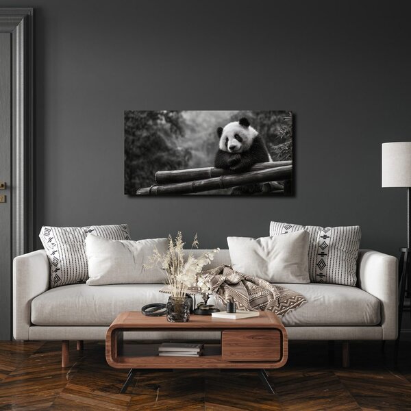 Quadro su tela – Panda tranquilla nella natura