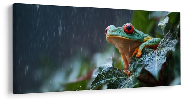 Quadro su tela – Rana colorata nella pioggia tropicale