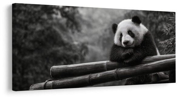 Quadro su tela – Panda tranquilla nella natura