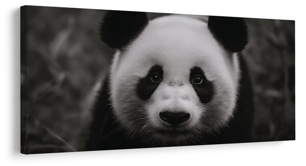 Quadro su tela – Panda bianco e nero sorridente
