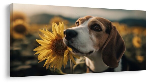 Quadro su tela – Beagle con girasole